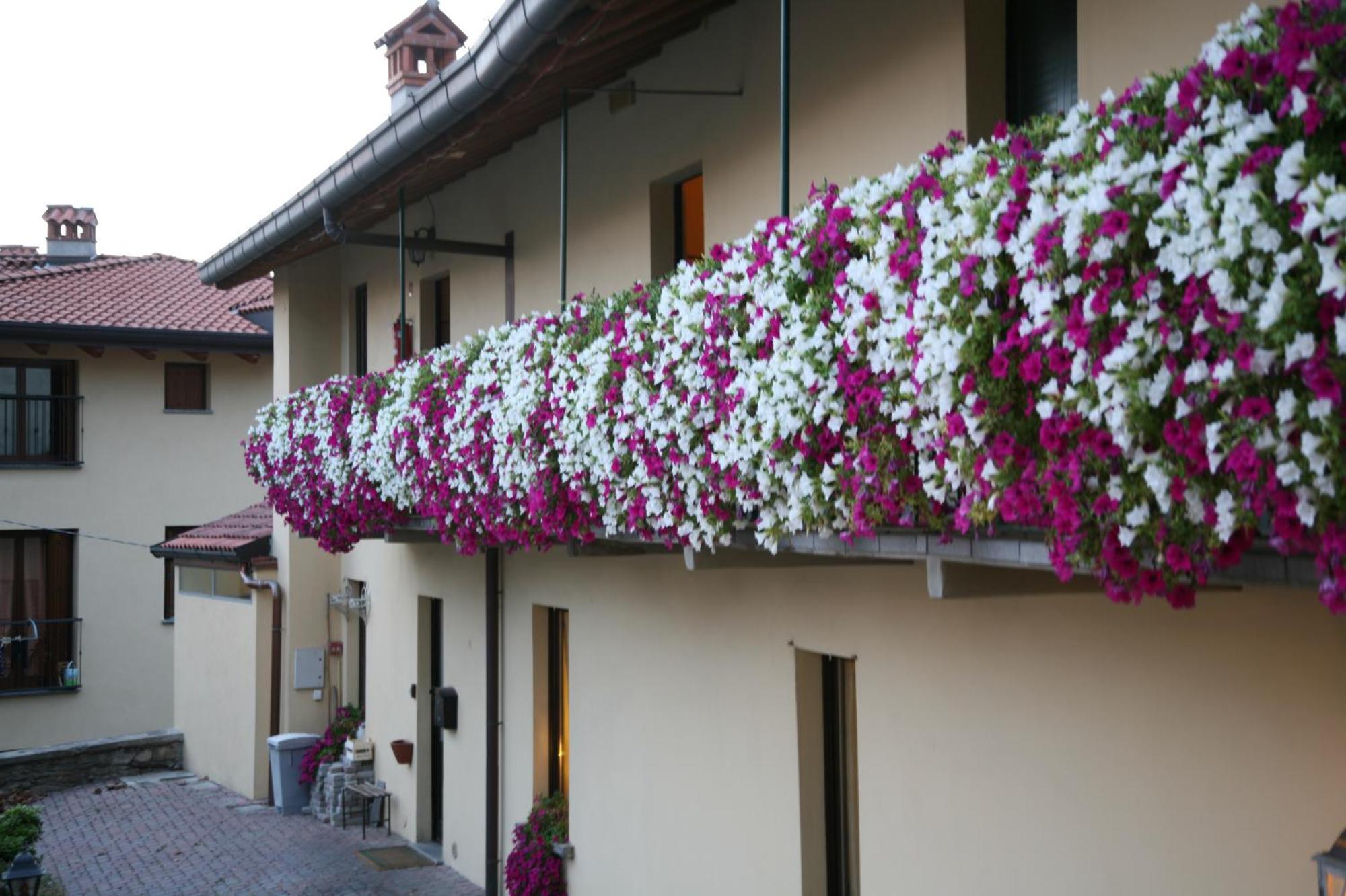 Locanda Dell'Oca Bianca Como Dış mekan fotoğraf